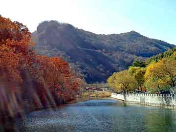 澳门今晚一肖必中特，巅峰神话